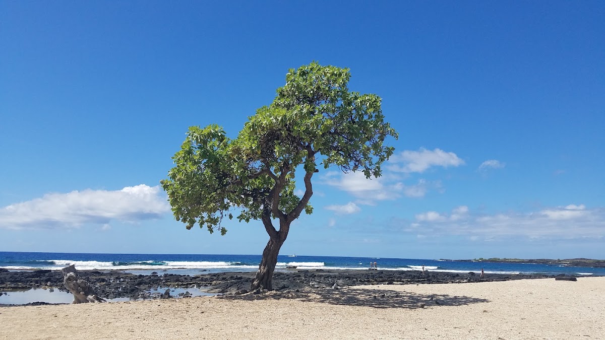Old Kona Airport State Recreation Area
