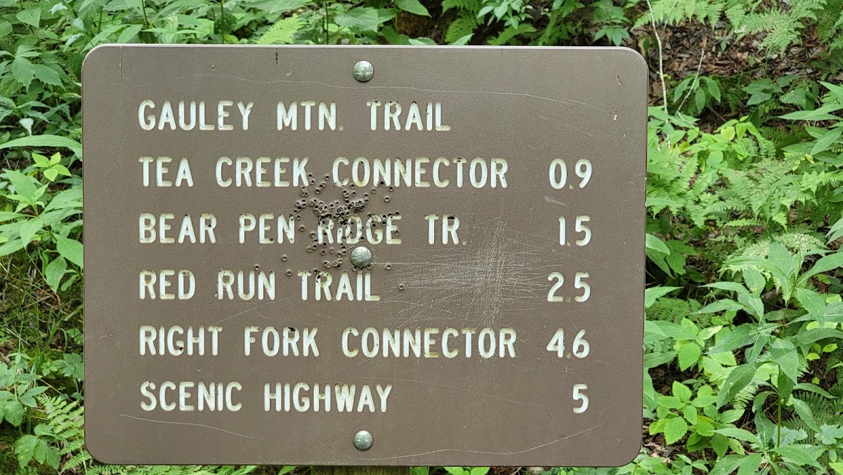 Gauley Mountain Trail 438