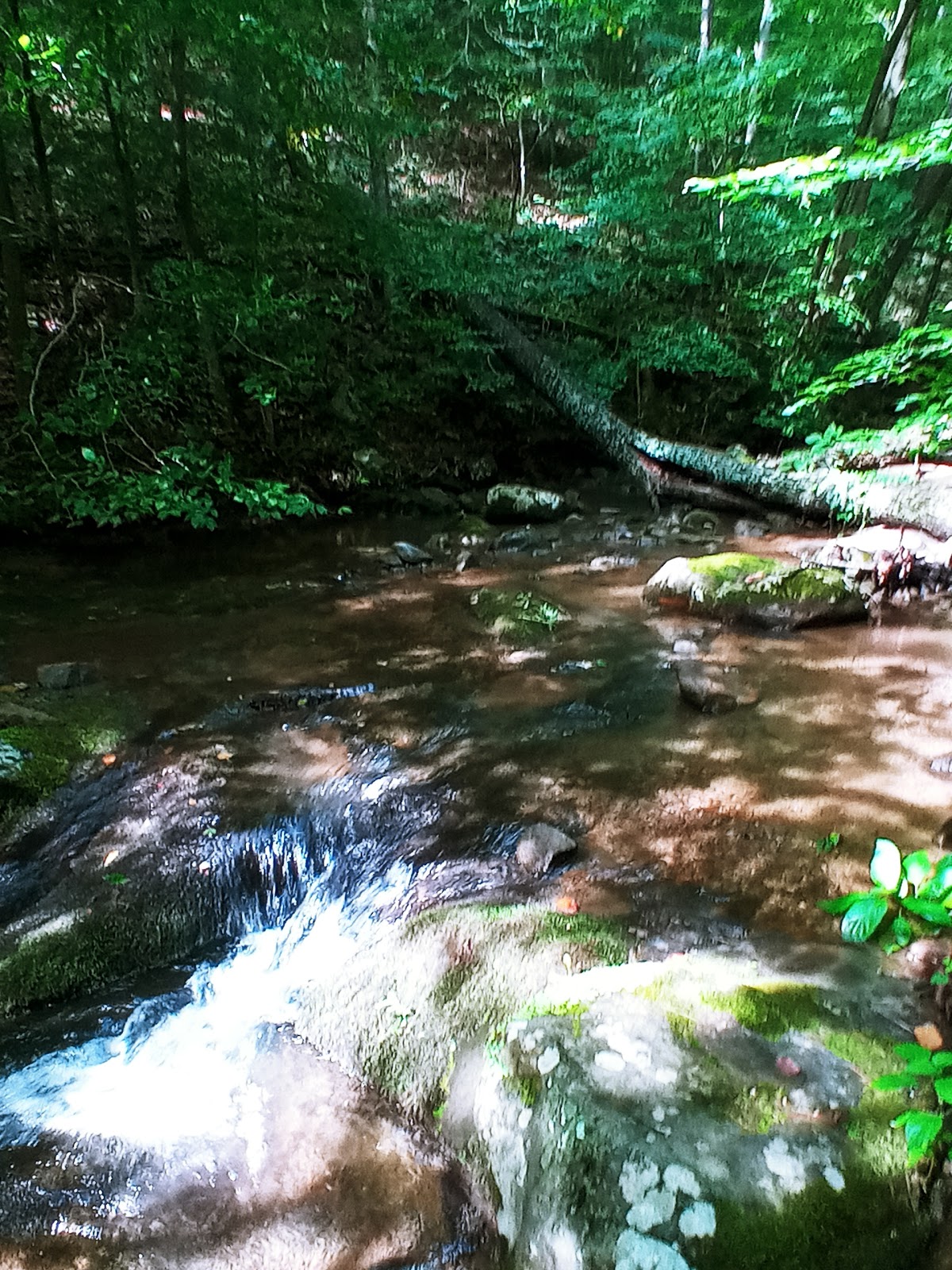 Pedlar River