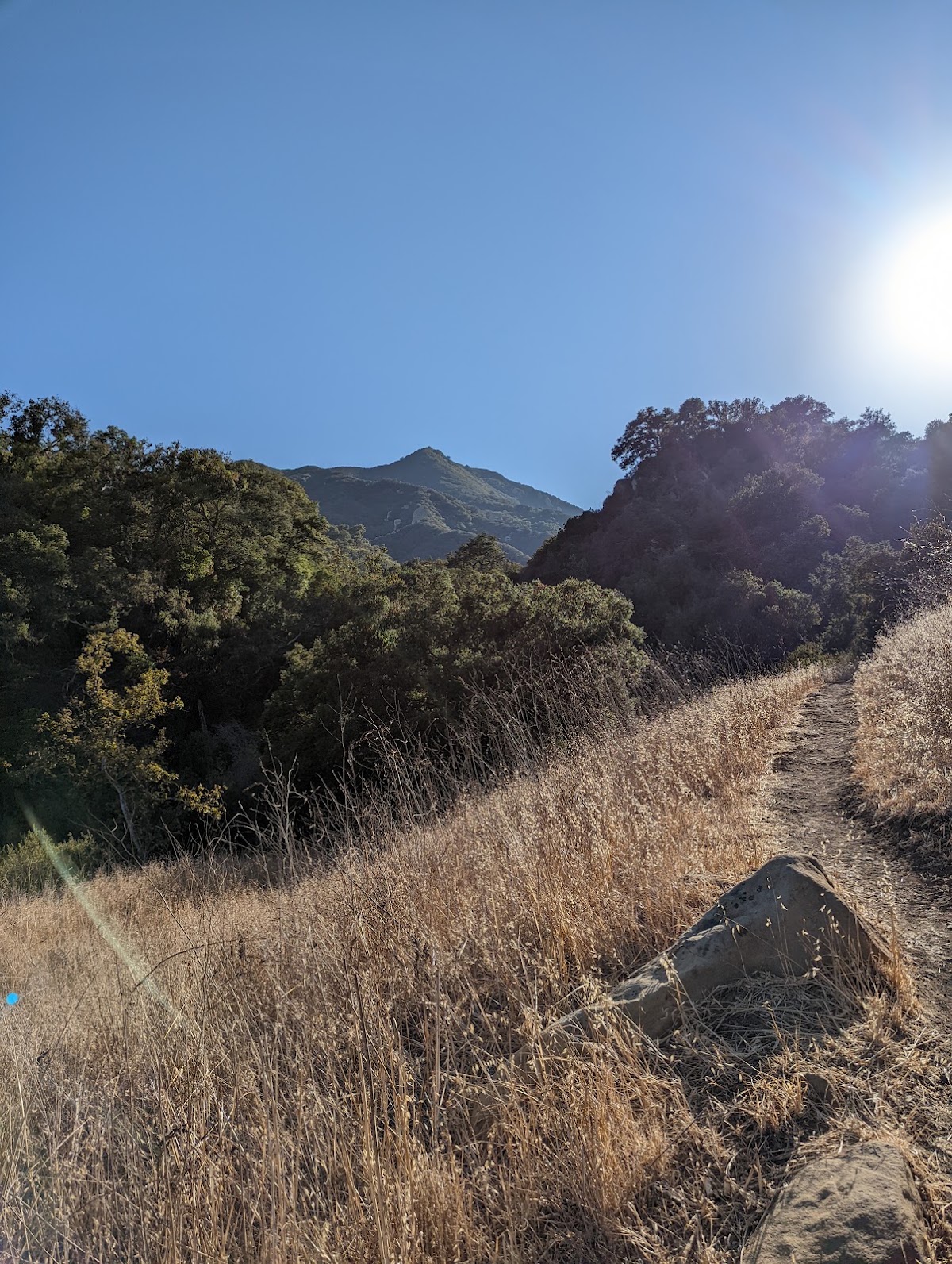 Hondo Canyon Trail (Backbone Trail)