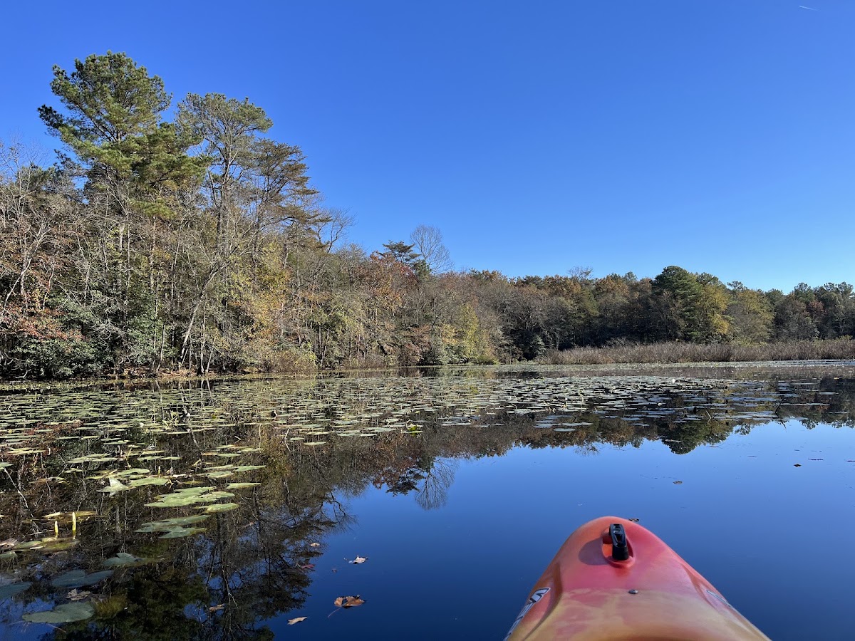 Raccoon Pond