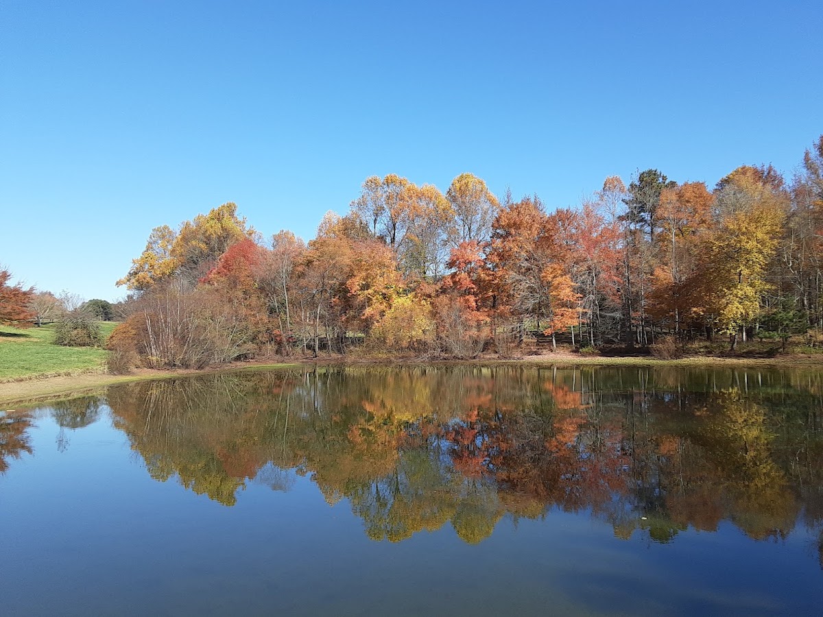 Milliken Arboretum