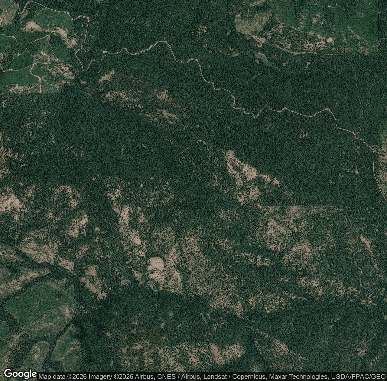 Taneum Ridge Trail