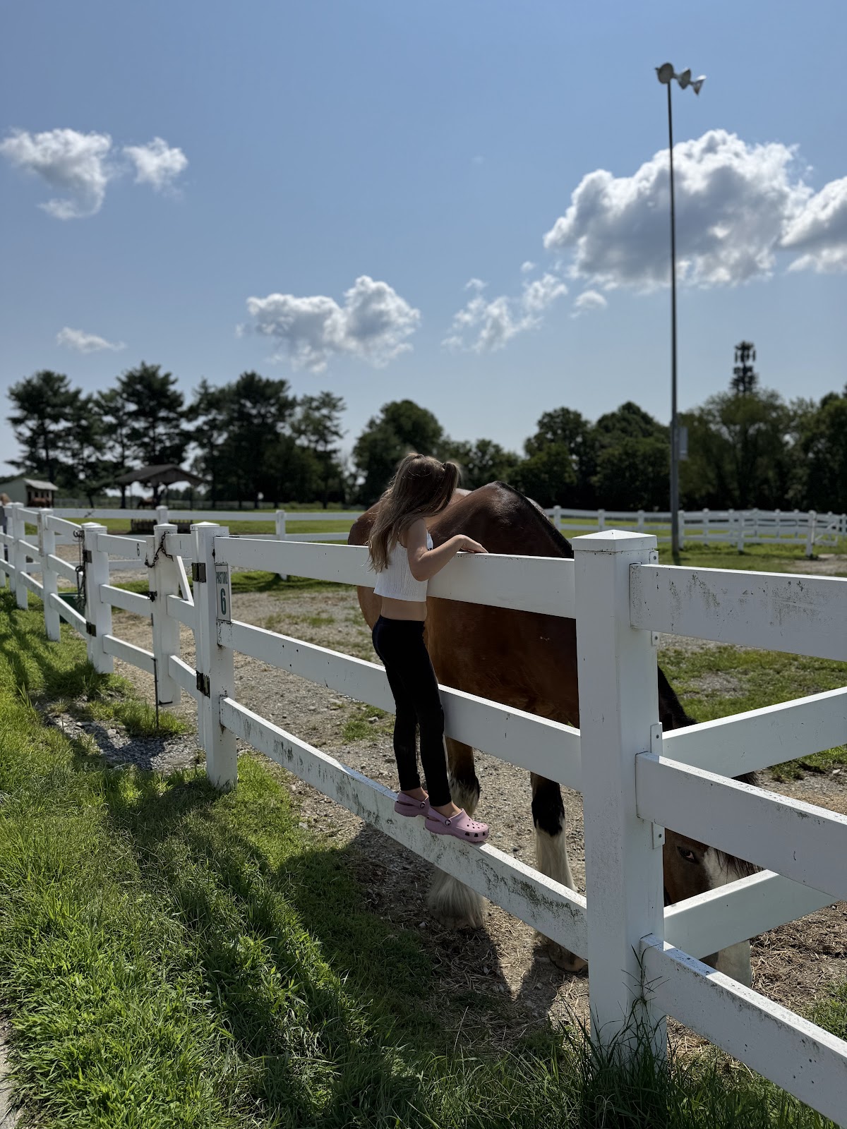 Carousel Park and Equestrian Center