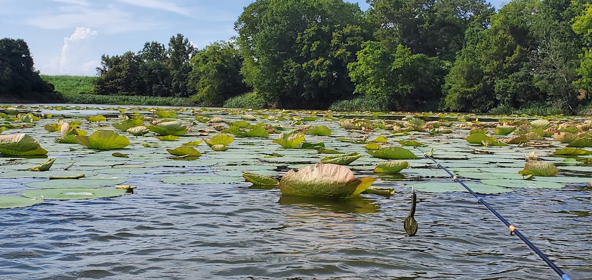 Mud Lake