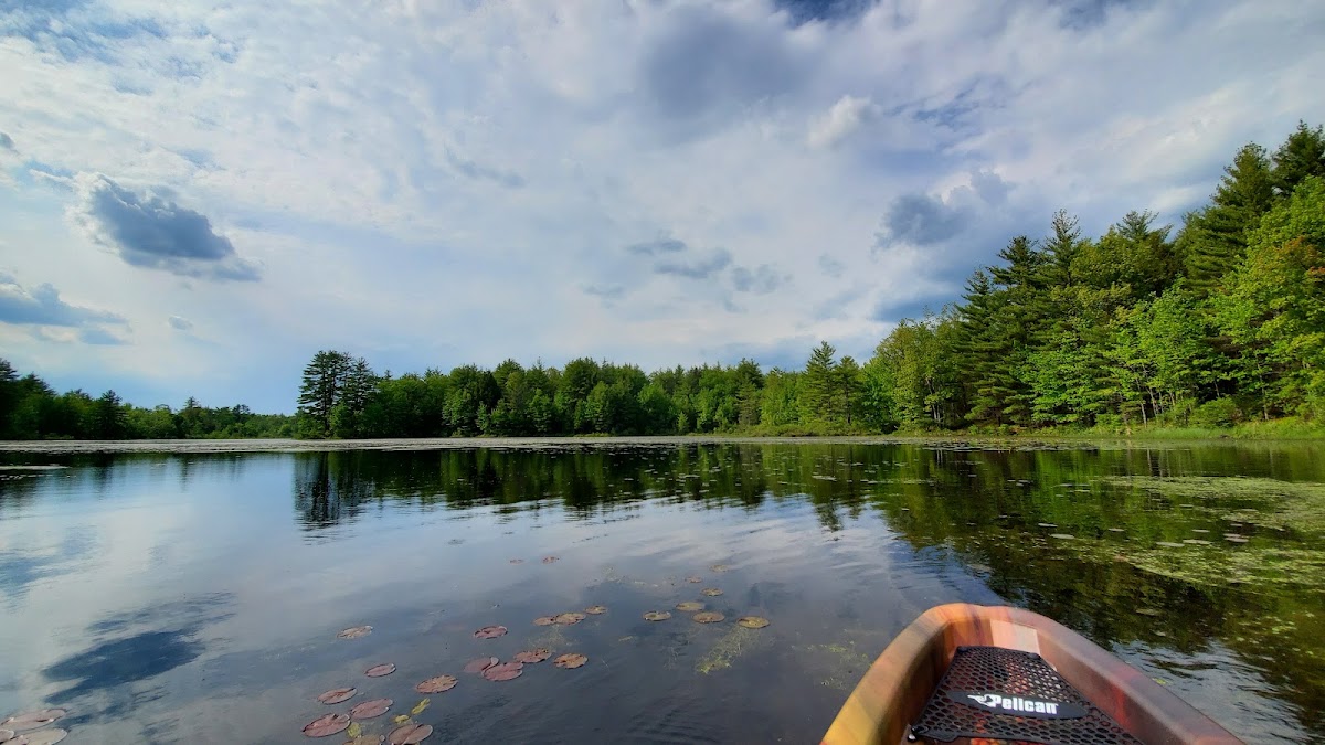 Bellamy Reservoir
