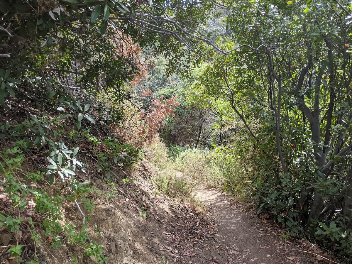 Garapito Canyon Trail
