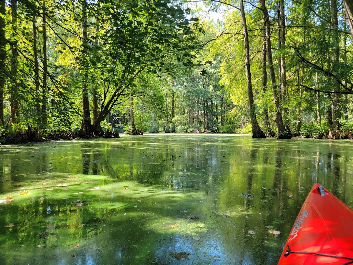 Records Pond