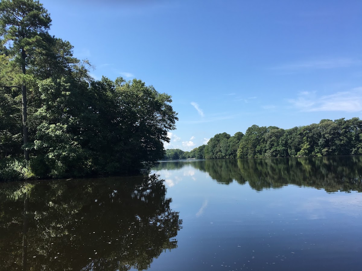 Chipmans Pond