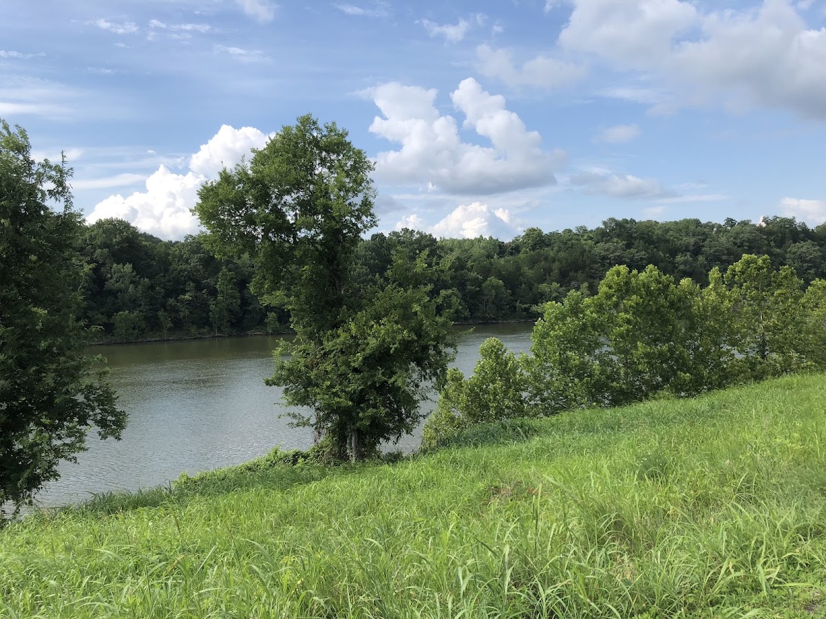 MetroCenter Levee Greenway