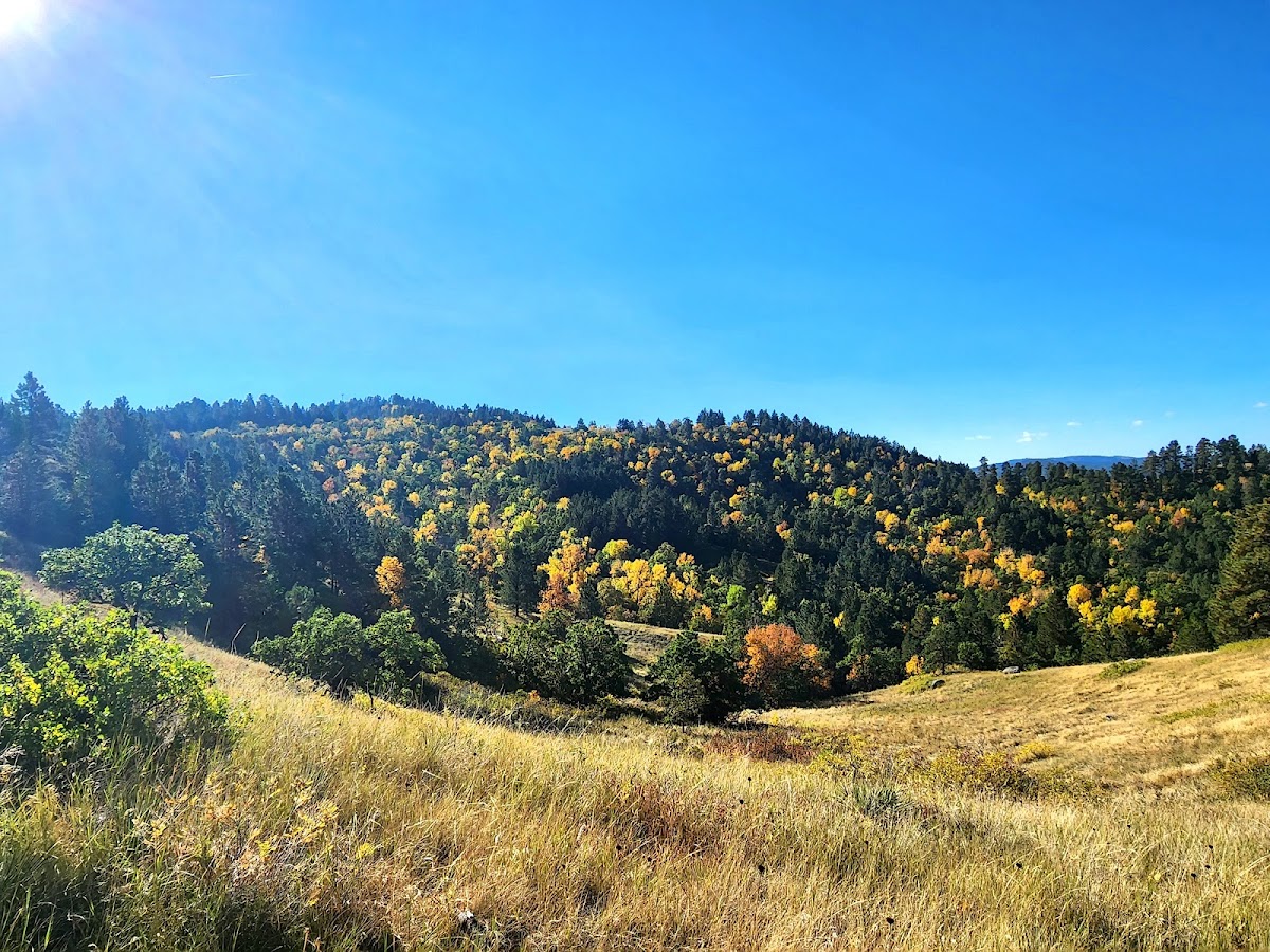 Lookout Mountain Park
