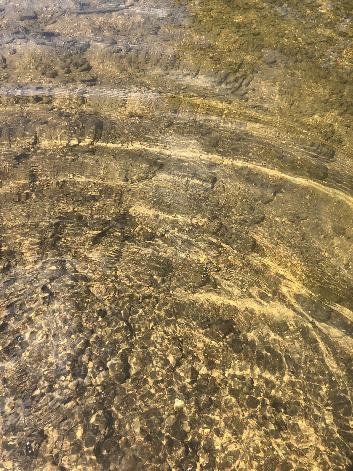 Mineral Fork