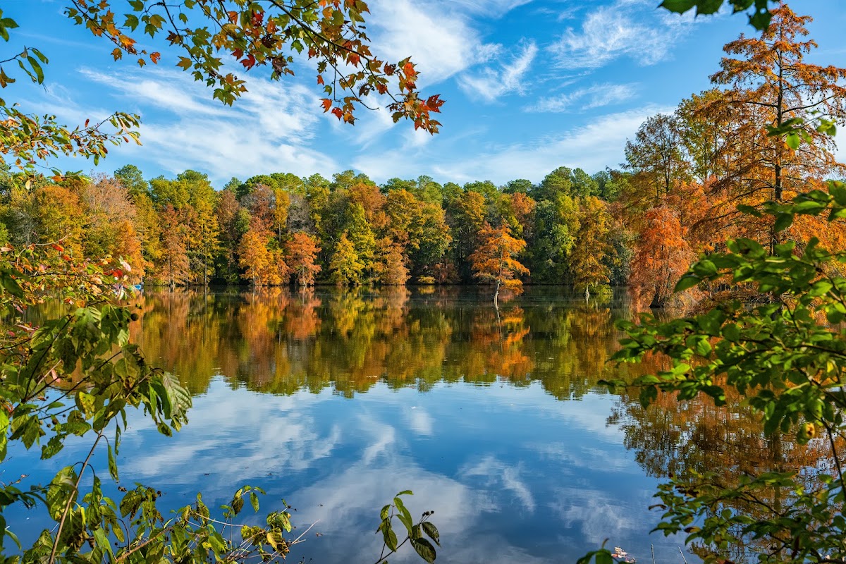 Trussum Pond