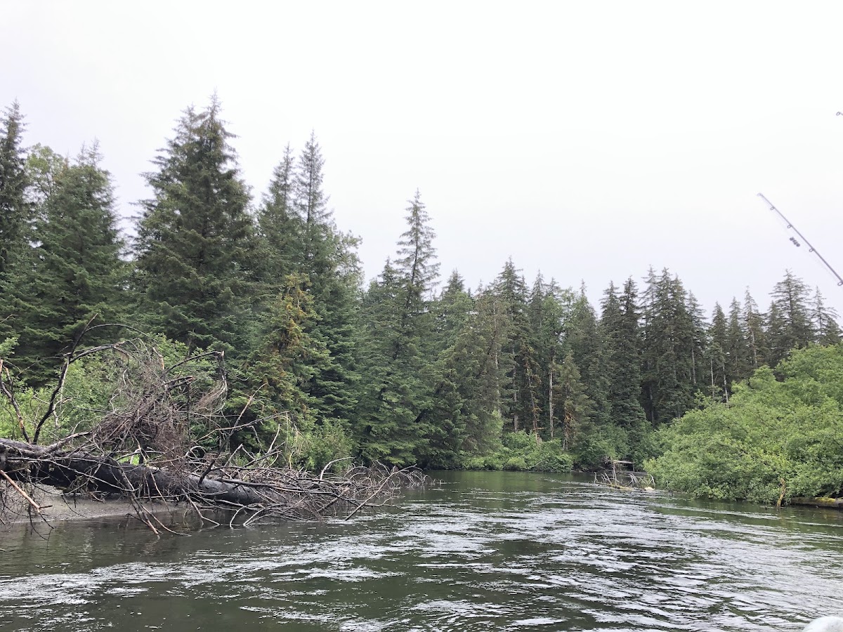 Situk River