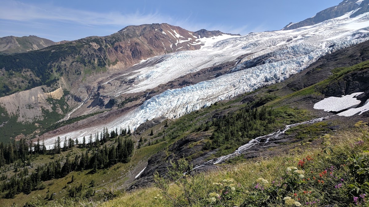 Coleman Glacier