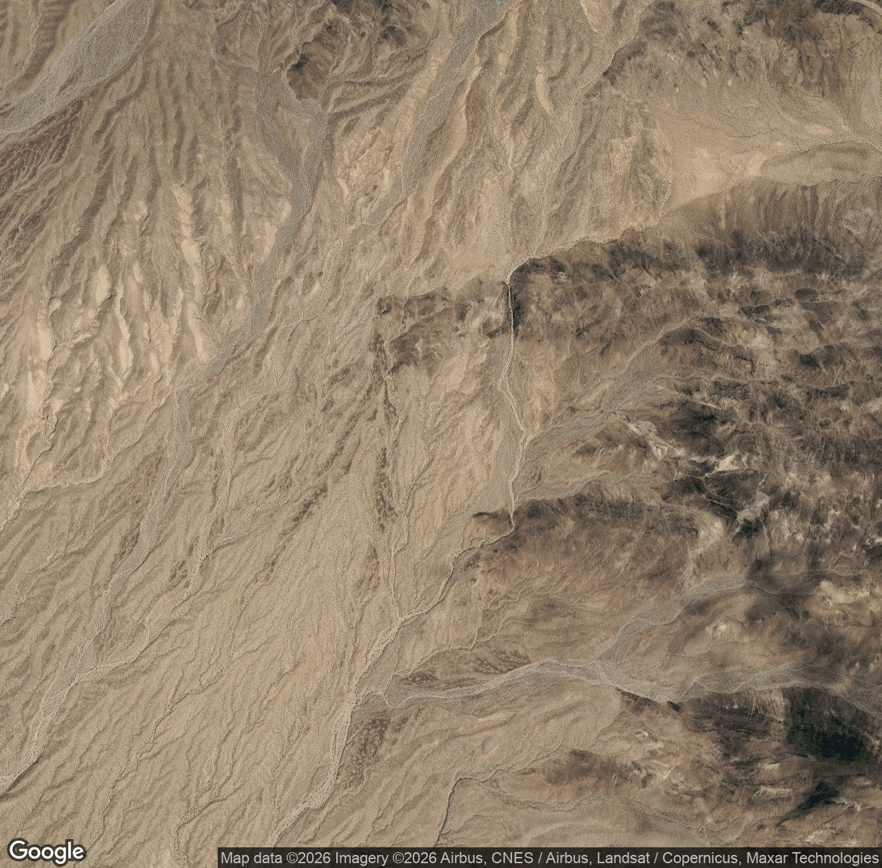 Wild Burro Wash
