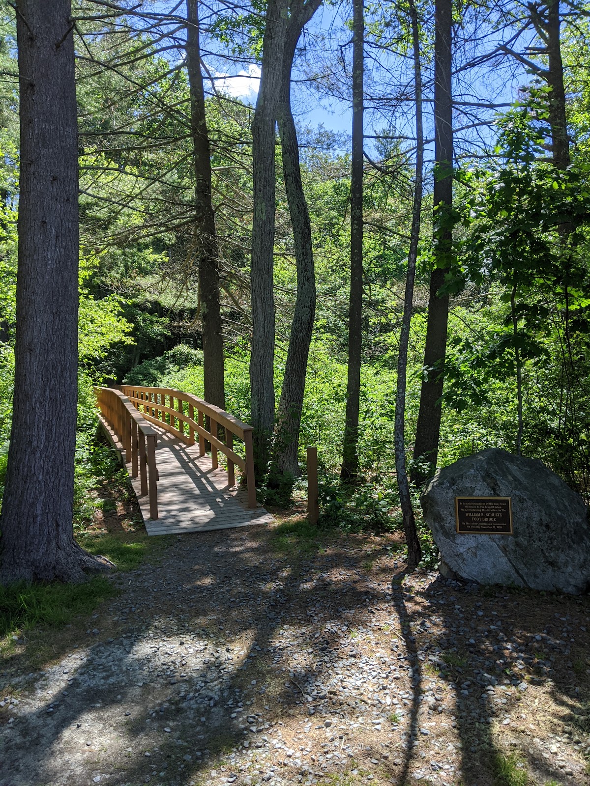 Salem Town Forest