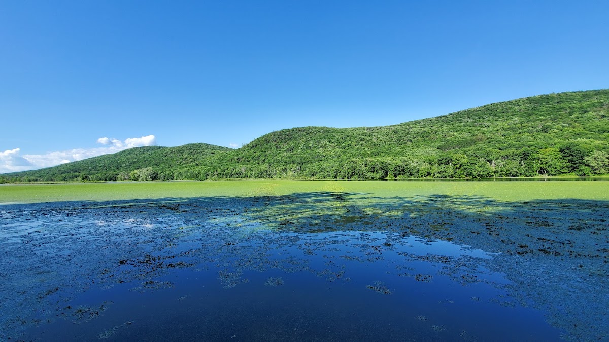 Woods Pond