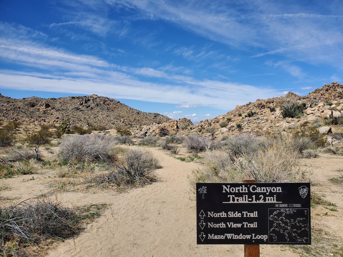Maze Loop Trail