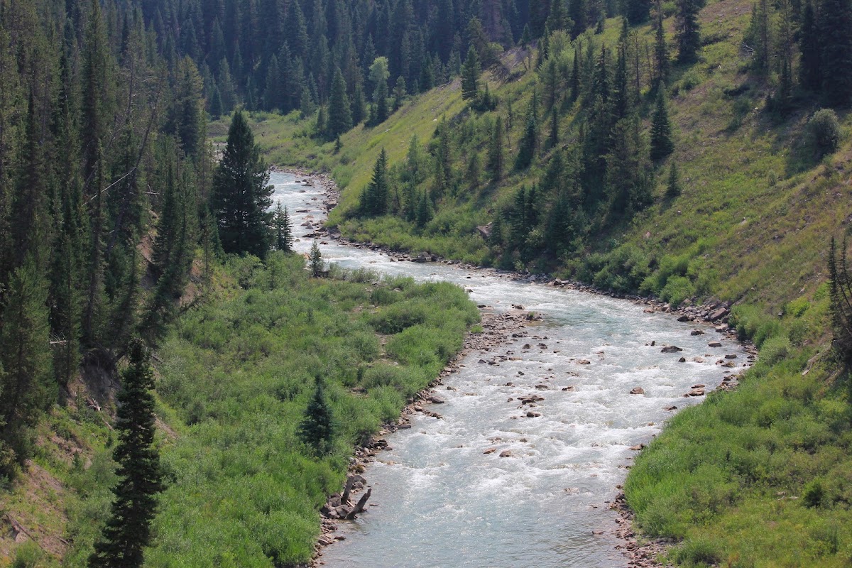Greys River