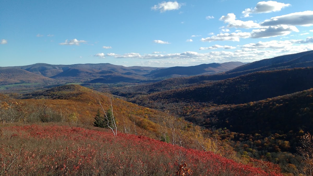 Taconic Crest Trail
