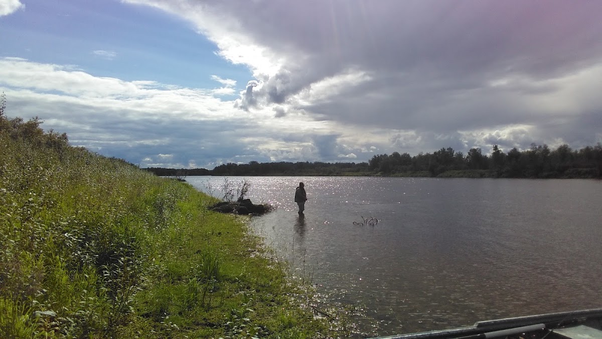 Holitna River