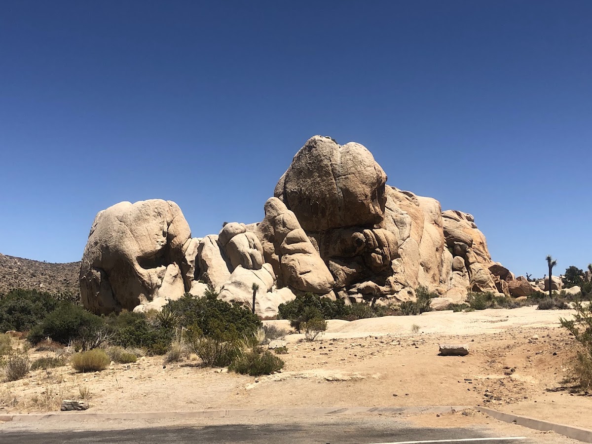 Ryan Mountain Trail