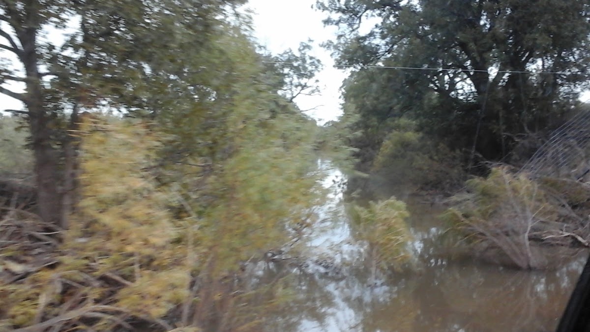 Middle Concho River