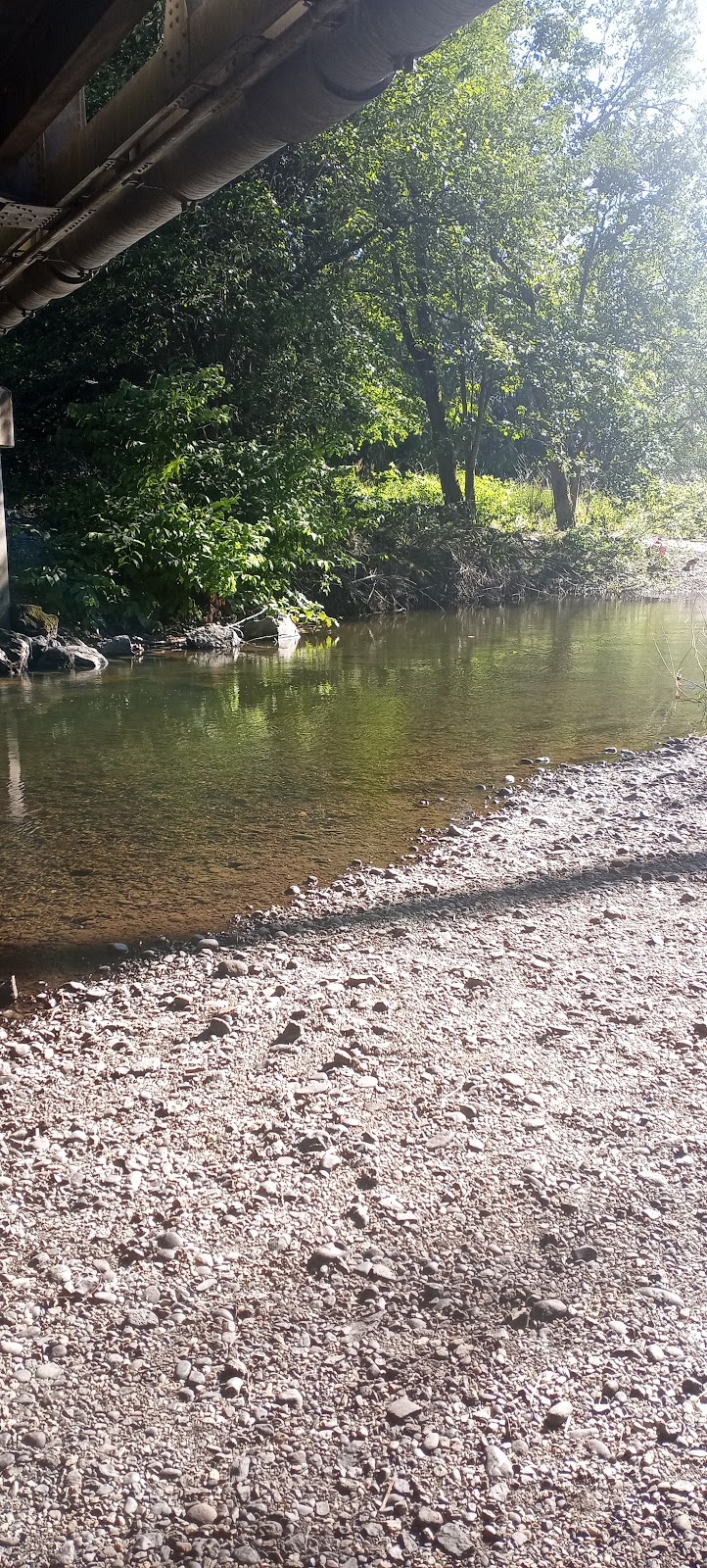 Samish River