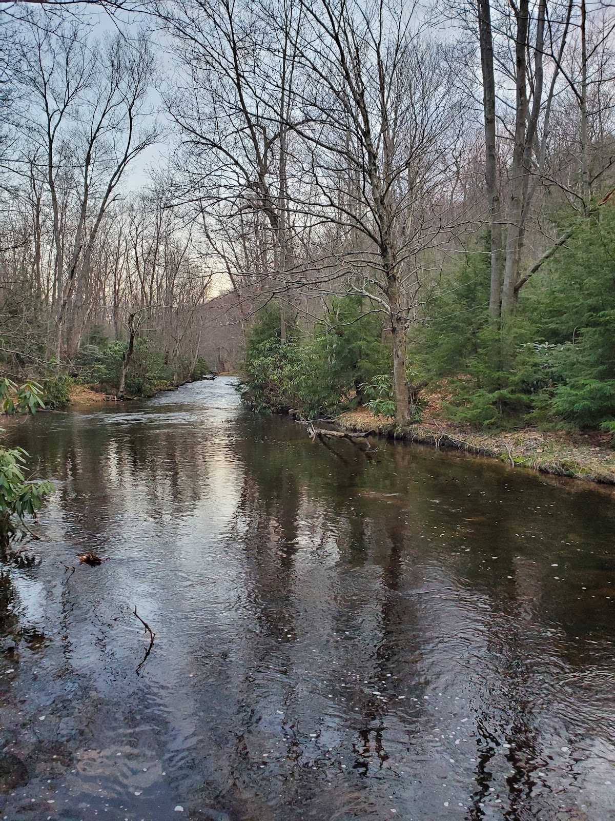 Black Moshannon Creek