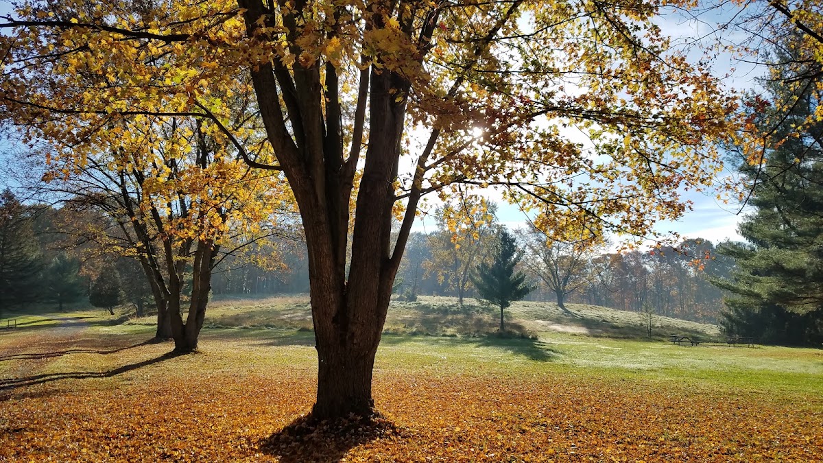Bath Hollow Farm