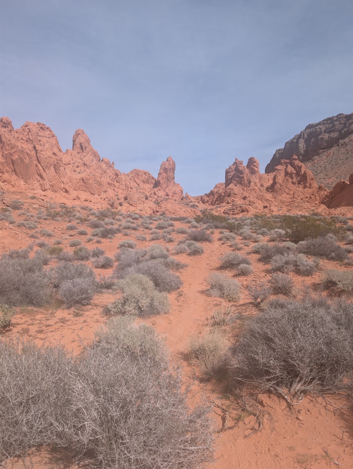 Pinnacles Loop
