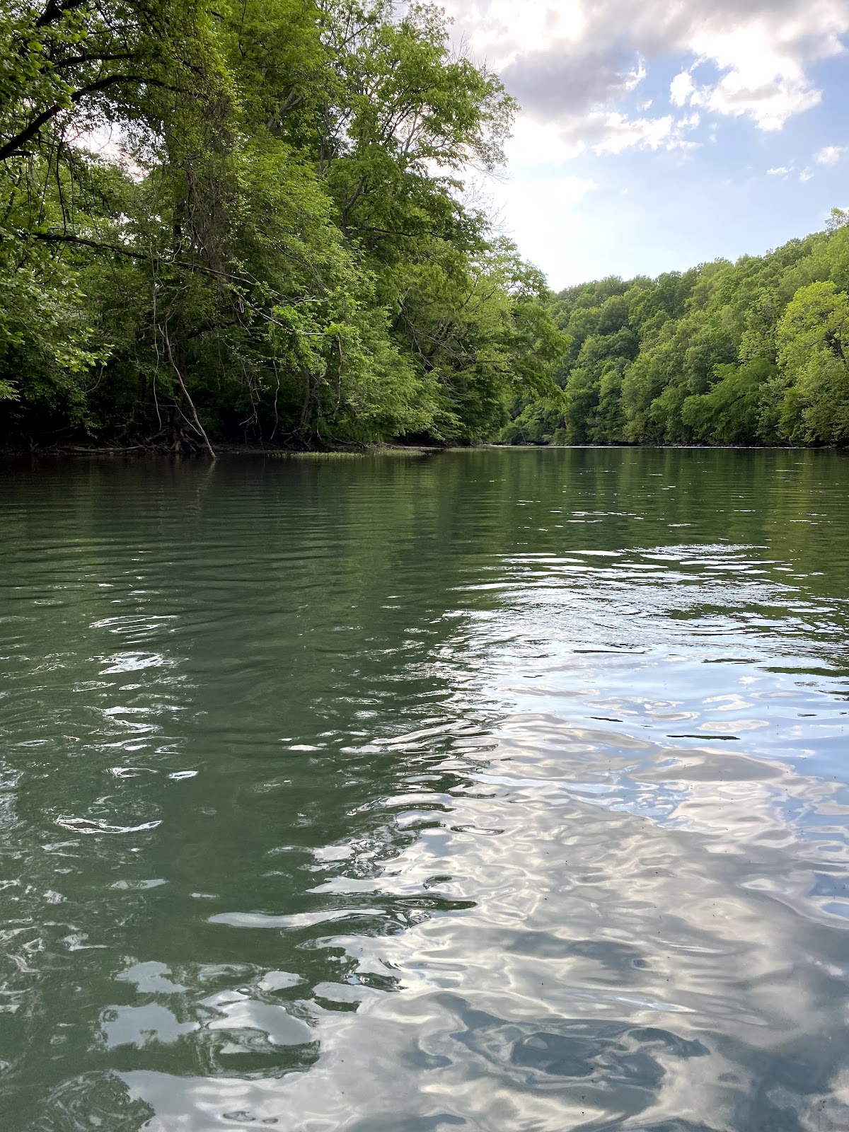 Collins River