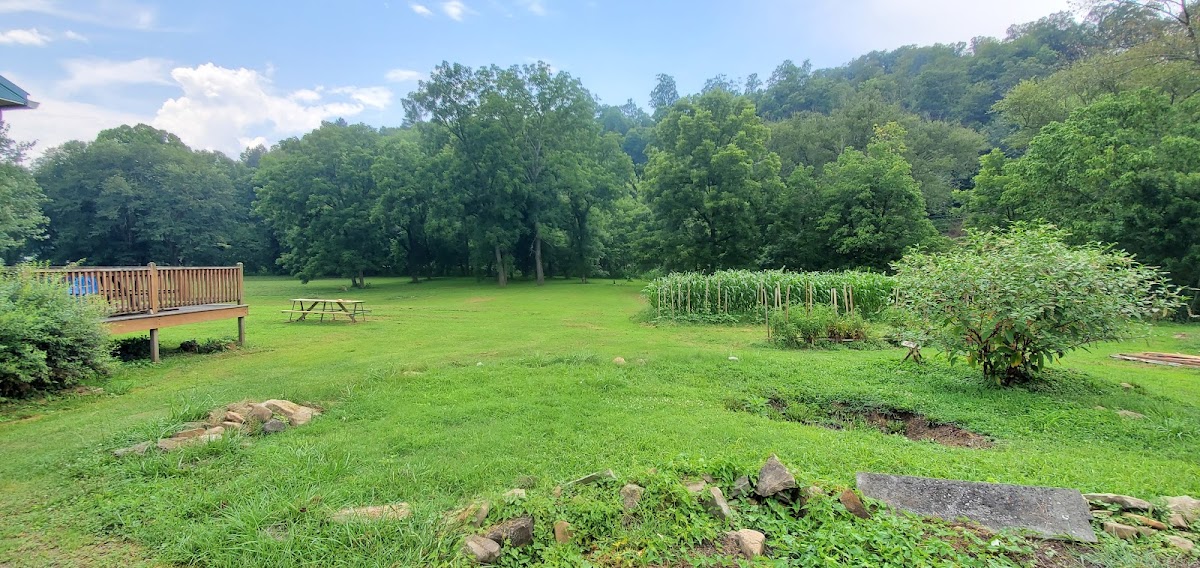 Clear Fork