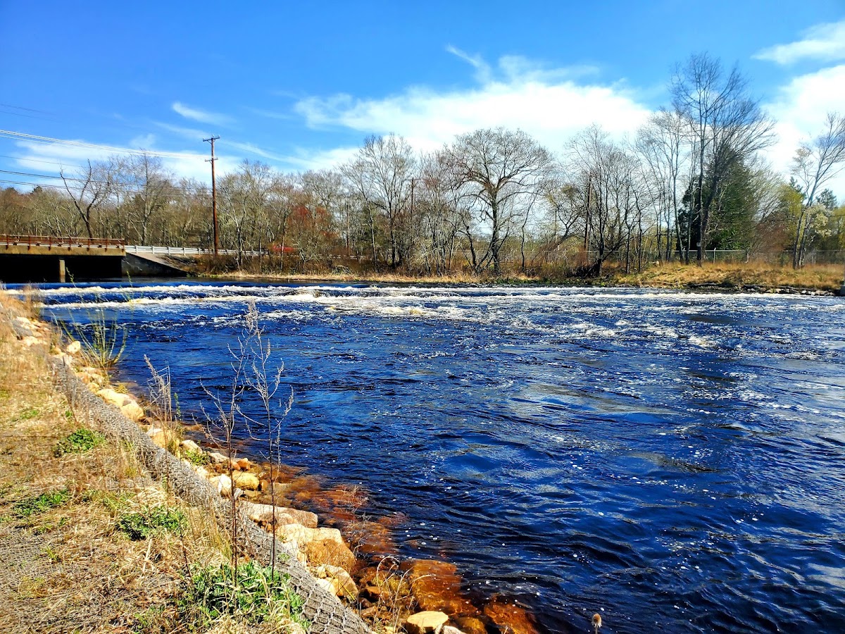 Wood River