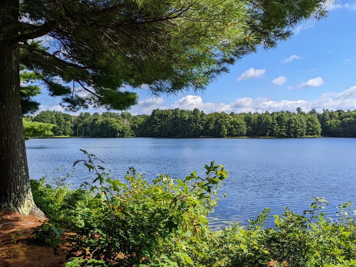 Morgan Pond Reservoir