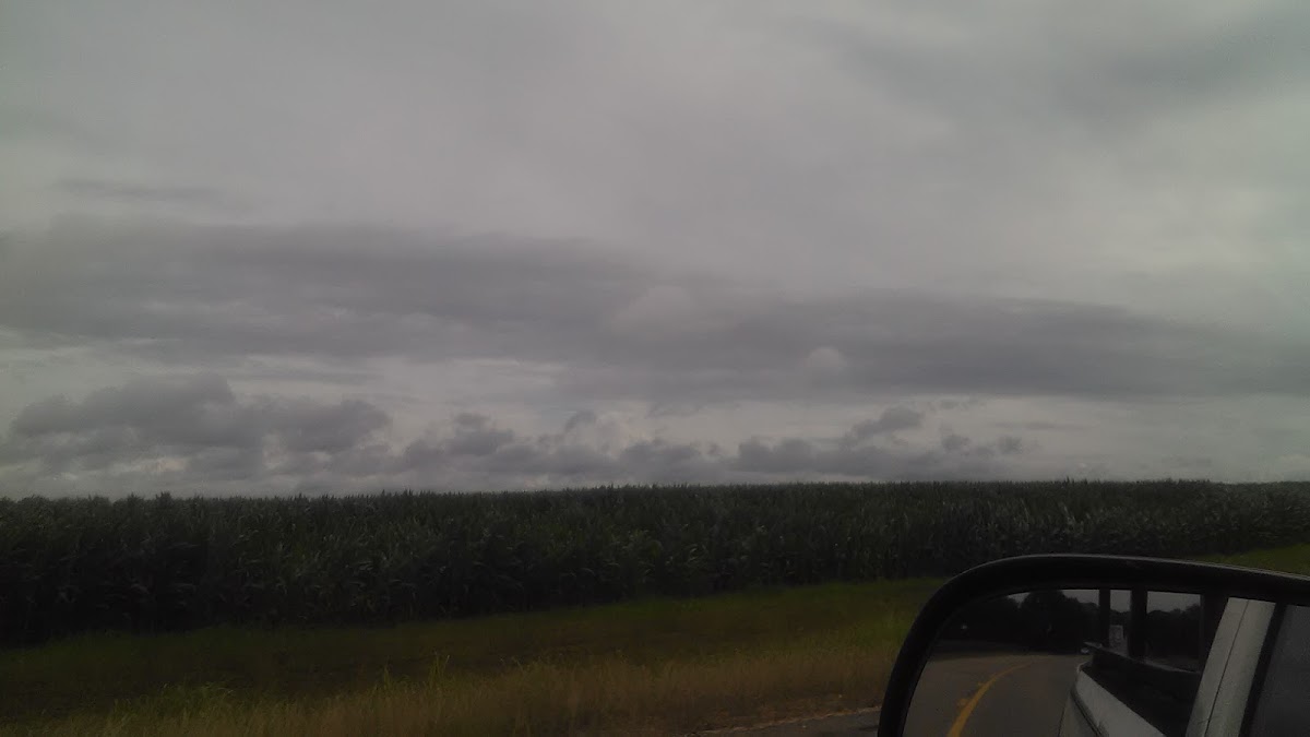 Noxubee River