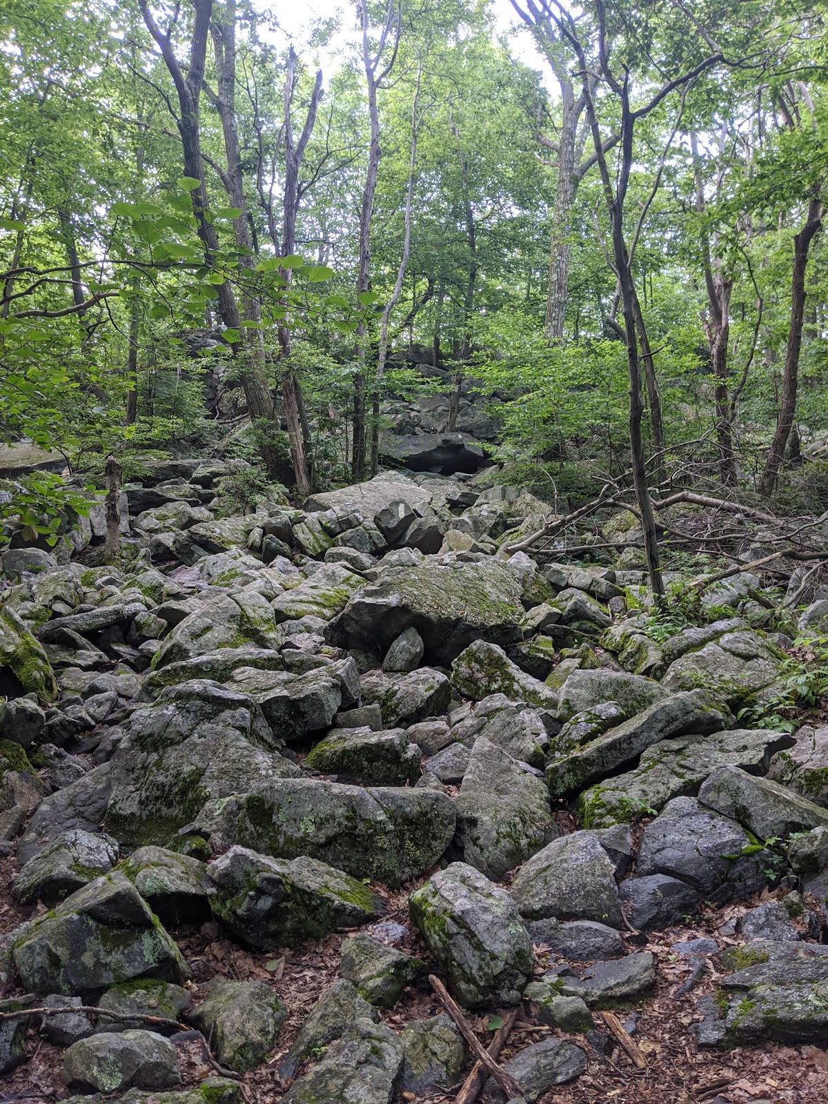 Wolf Rocks Bypass Trail