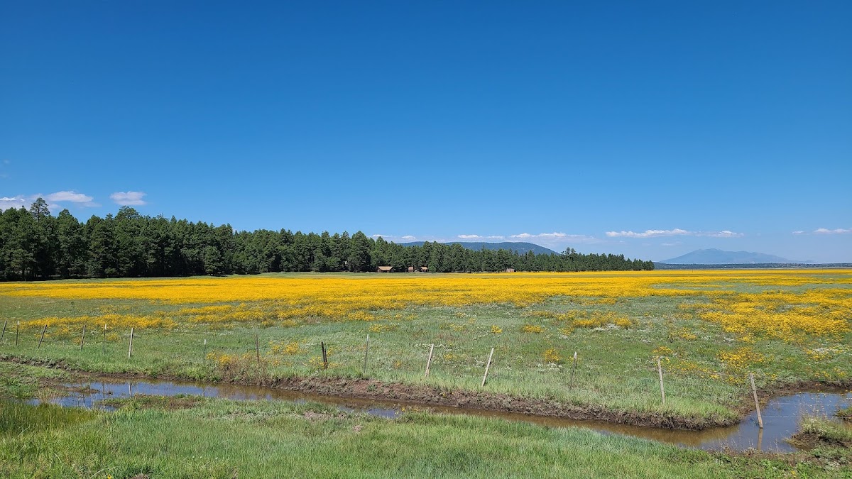 Mormon Lake