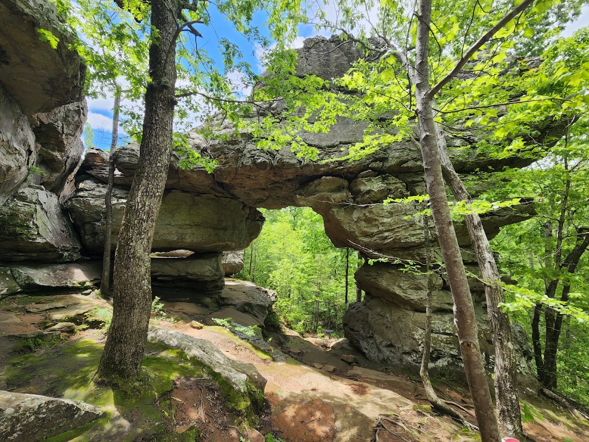 Boy Scout Trail