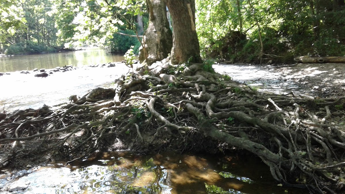 East Branch Brandywine Creek
