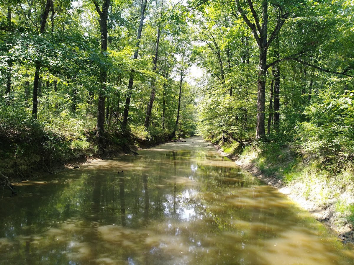 Holland Bottoms WMA