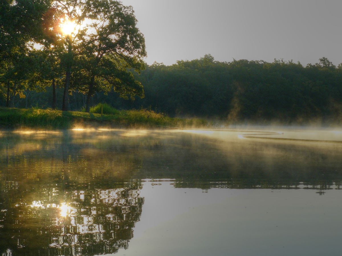 Okmulgee Lake and Recreation Area