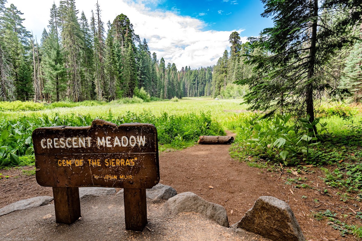 Sugar Pine Trail