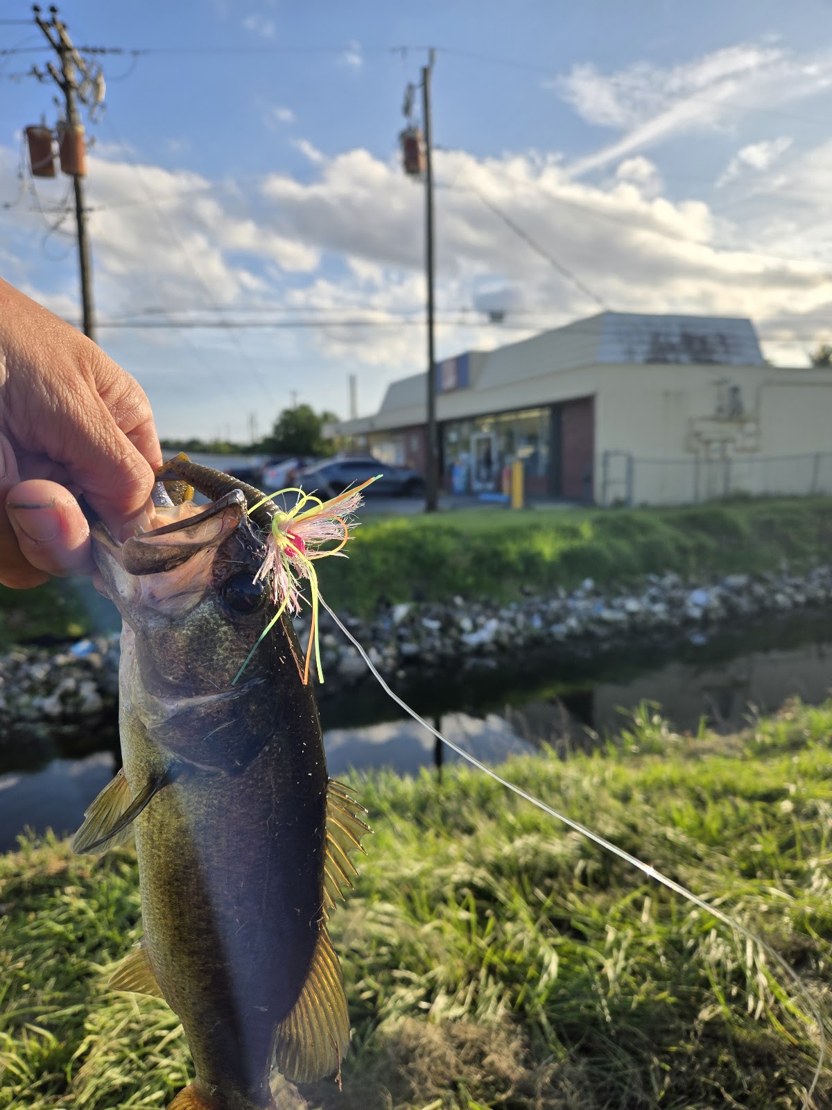 Hillsboro Canal