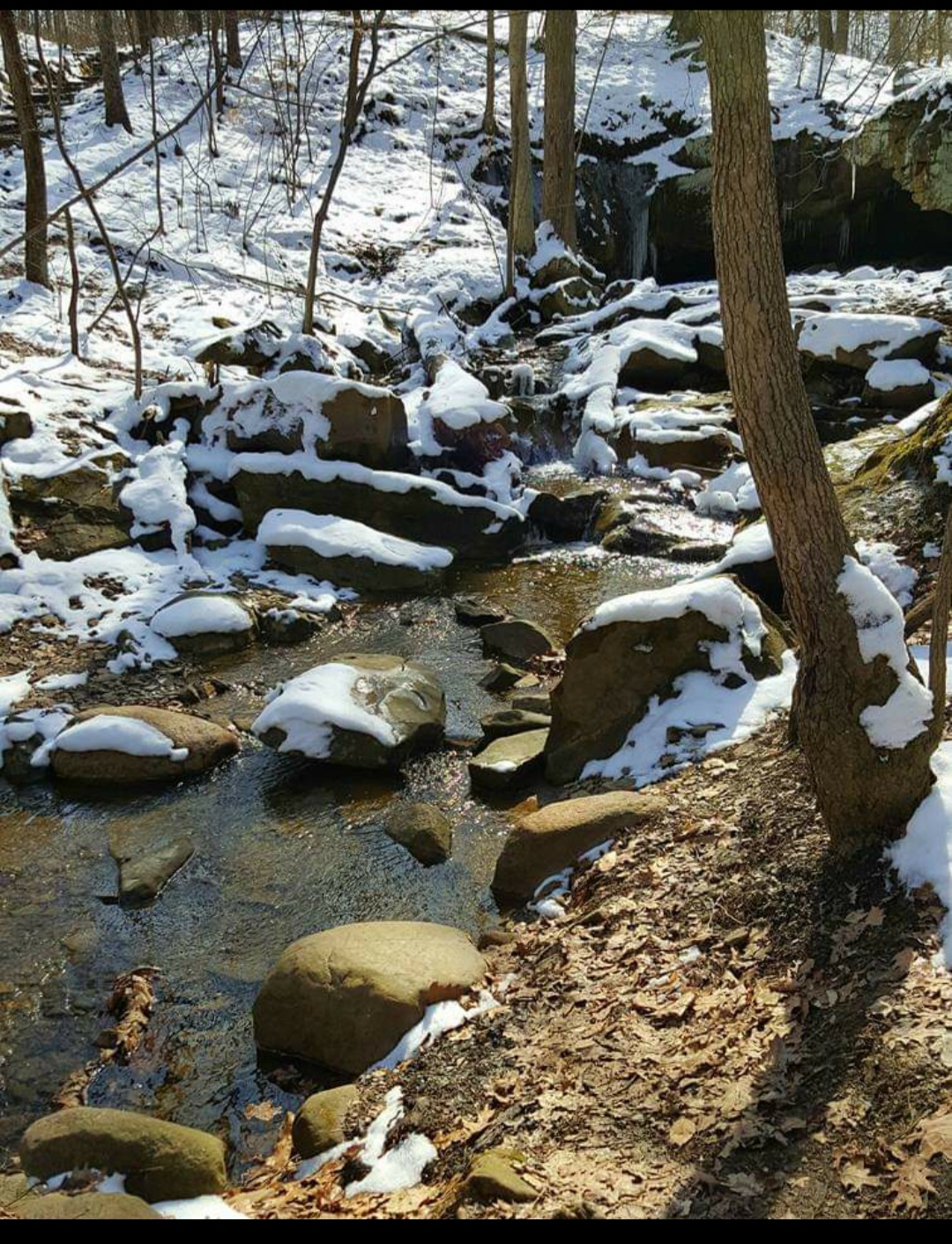 North Bridle Loop