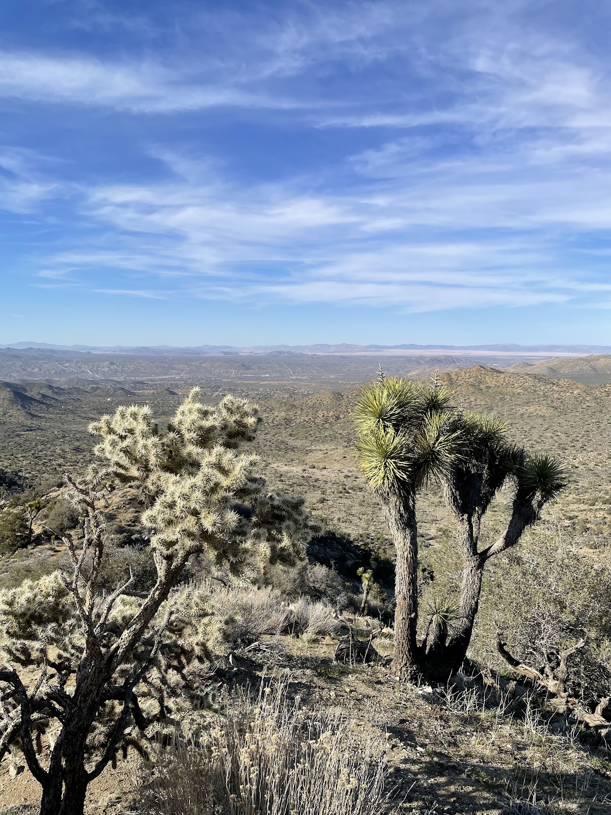 Panorama Trail