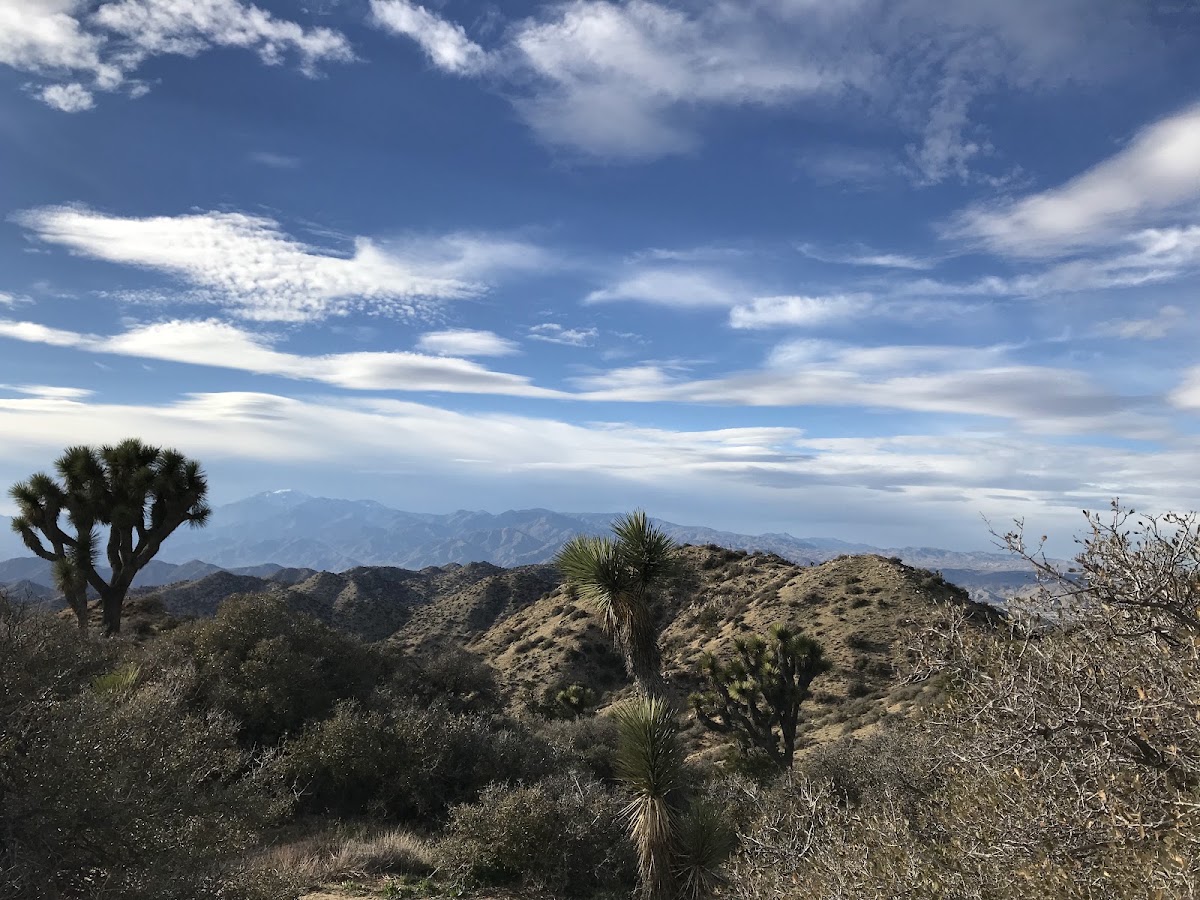 Bigfoot Trail