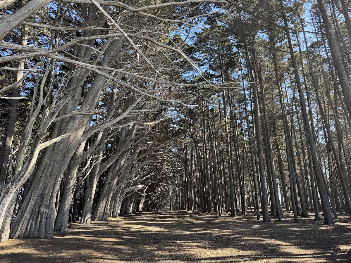 Bluff Trail