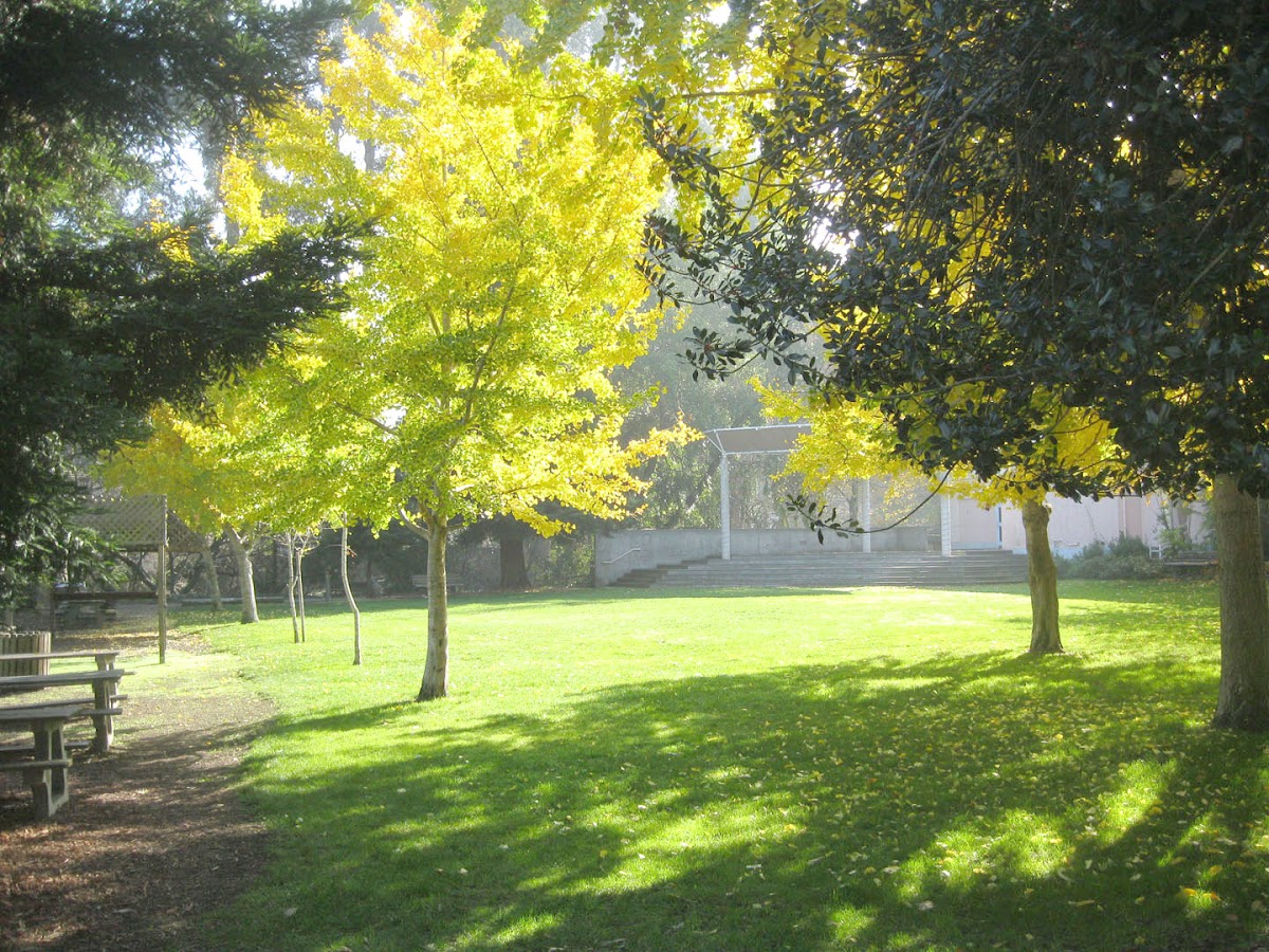 Two Pines